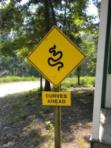 curves-ahead-sign-225x300.jpg