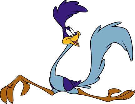 roadrunner.jpg.728x520_q85.jpg