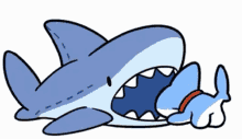 shark-cute.gif