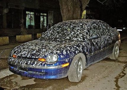 car+covered+in+bird+poop+dr+heckle+funny+wtf+pictures.jpg