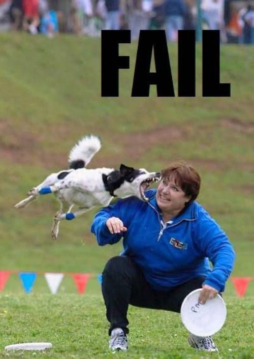 fail-dog-frisby.jpg