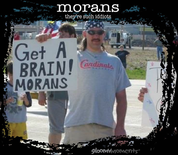 gm_morans_png.jpg