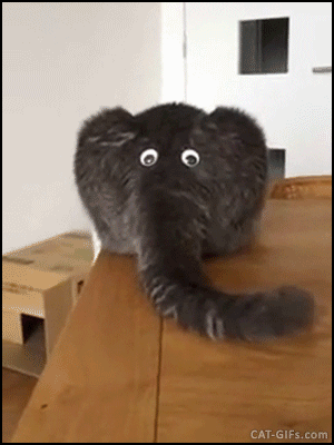 e3f7eed6206149246bbe4ea3a41e6d78.gif