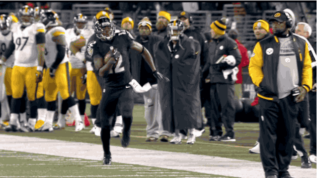 2013-11-2819_39_49.gif