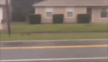 iEwAPQ1.gif