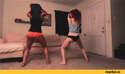 giphy.gif