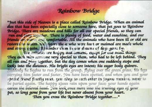 RainbowBridge1.jpg