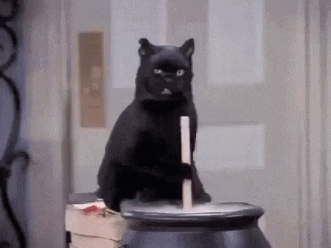 cadffa64e6ef7d611d0b6608d79378a3.gif