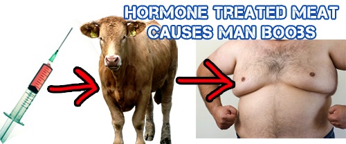 Hormone%20Treated%20Meat%20Causes%20Man%20Boobs.jpg