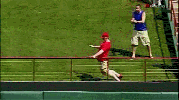 No8.gif
