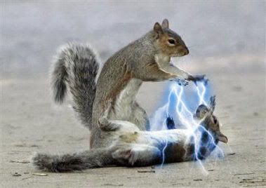 Squirrel_Force_Lightning.jpg