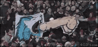 n2M6M.gif