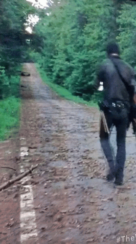 walking-dead-road.gif