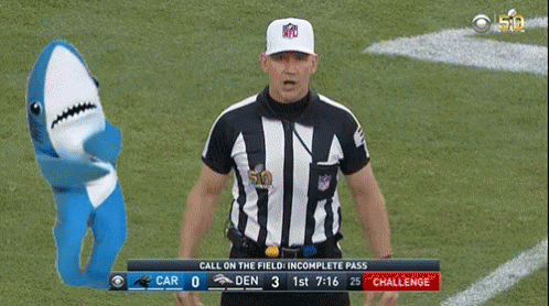 Image result for nfl ref throwing flag gif
