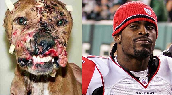 michael_vick_pit_bull.jpg