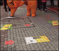 giphy.gif