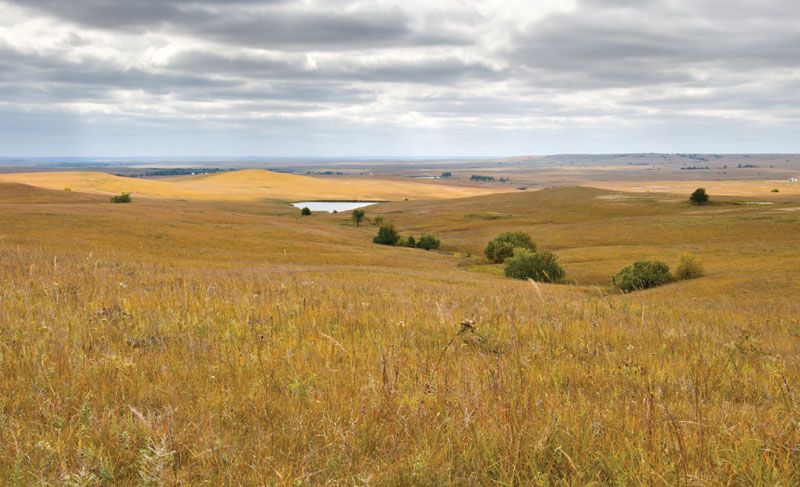 Flint-Hills-region-Great-Plains-Kansas.jpg