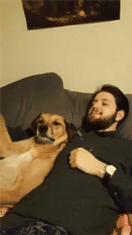 jambalaya-8.gif