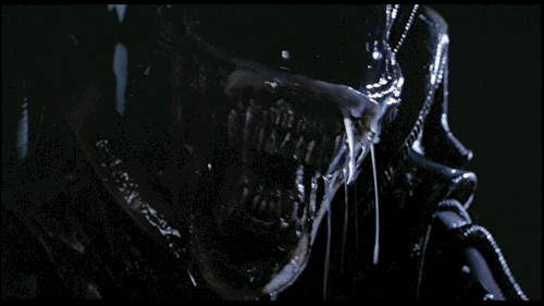 tumblr_l2bmasKYPz1qzwi58o1_500.gif