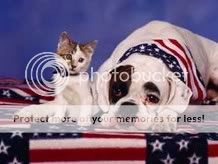 patriotic-best-fwends.jpg