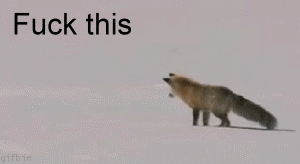 q7D8B.gif