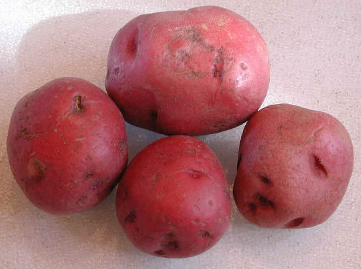 i-potatoes-red.jpg