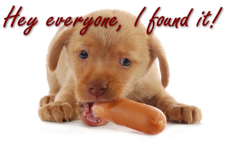 Puppy+with+a+wiener.jpg