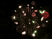 200w.gif