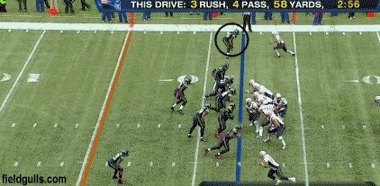 seahawks1.gif
