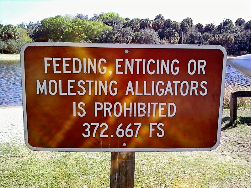 no_molesting_the_alligators____by_lildragonrider10.jpg