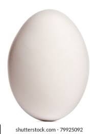 Goose Egg Images, Stock Photos & Vectors | Shutterstock