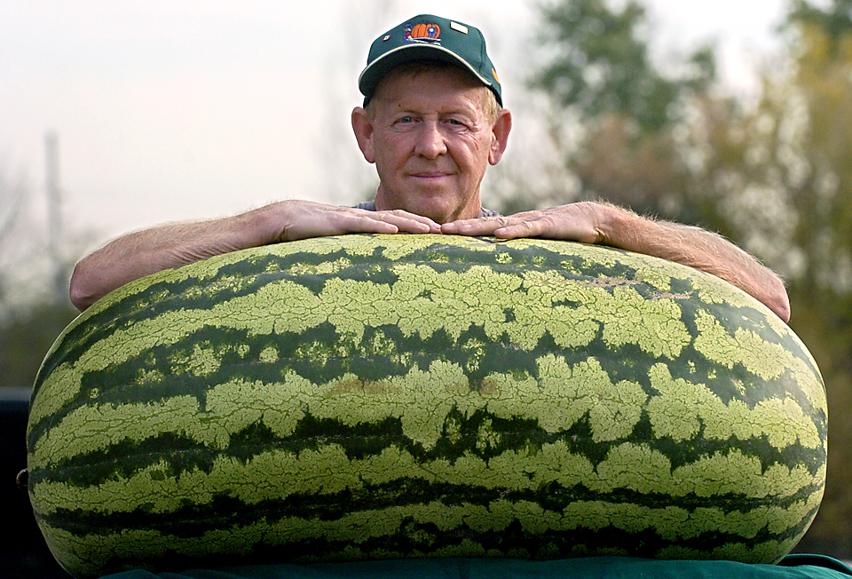 giant-melon.jpg