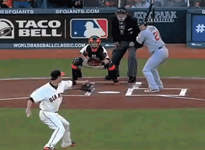 Vogelsong2(1).gif