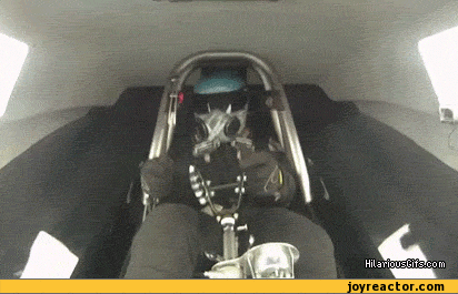 gif-pilot-fail-steering-wheel-473795.gif