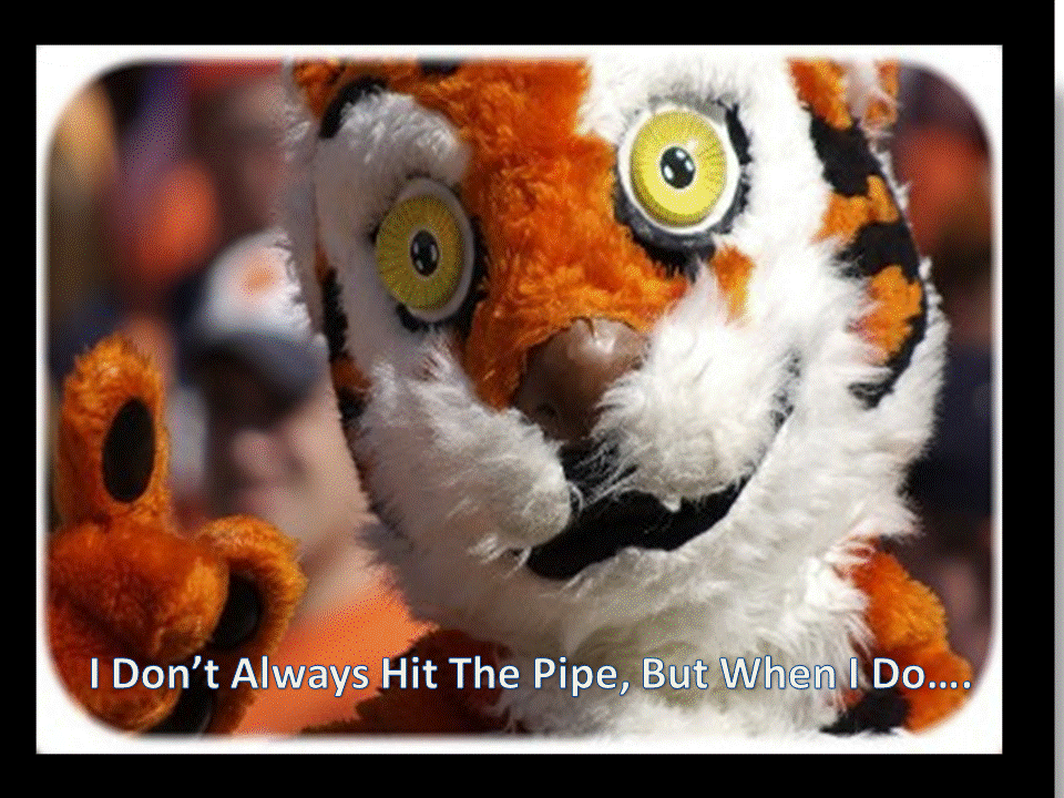 CrackPipeClemsonTiger1_zpsa9f1f705.gif