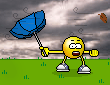 windy-1.gif
