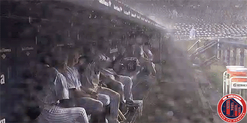 Yankees-thunder.gif
