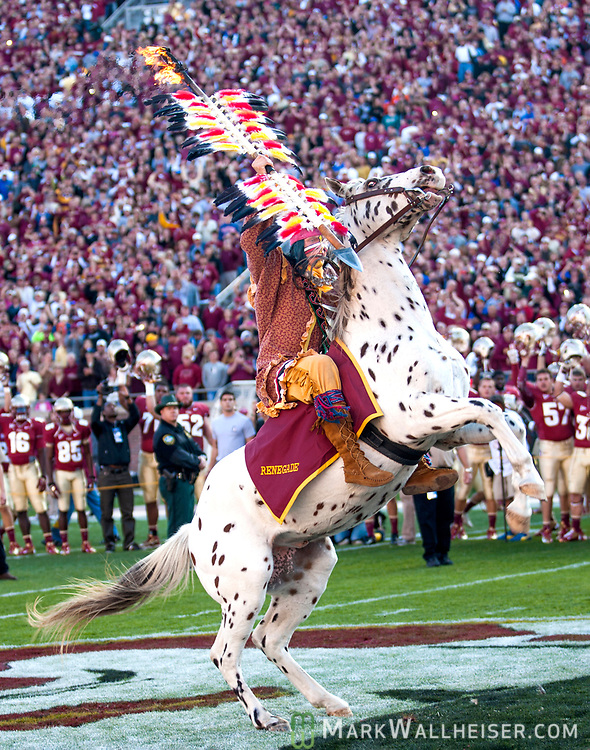 FSU-vs-UF-02-mw-112412.jpg