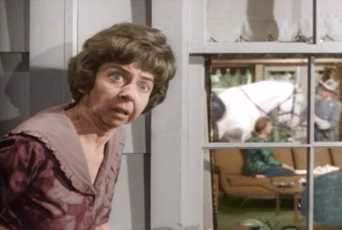 gladys-kravitz-nosey-neighbor_100179375_l.jpg