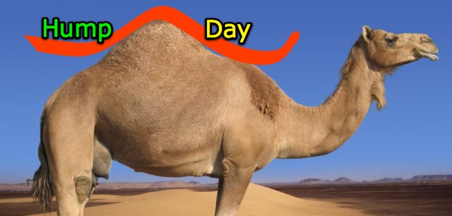 humpday.jpg