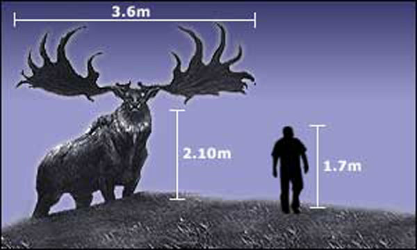 giant-irish-elk.jpg