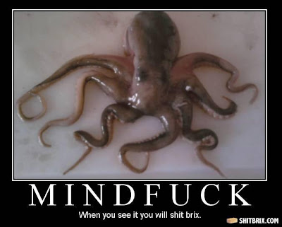 octopus.jpg