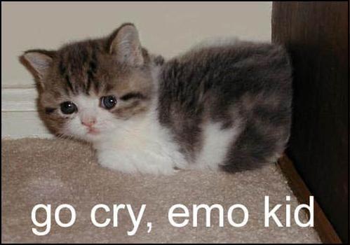 go-cry-emo-kid.jpg