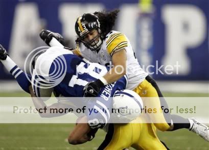 Polamalu.jpg