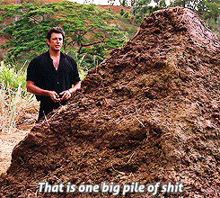 one-big-pile-of-shit.gif