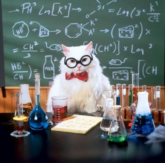 Chemistry-Cat.jpg
