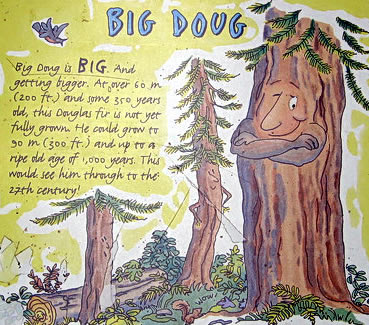 10-big-doug.jpg