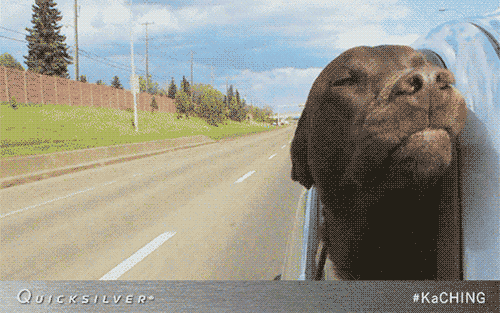 tumblr_mwn0x4Jpq11sld5elo1_500.gif