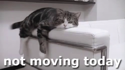 7QH00ef.gif
