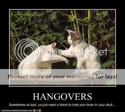 funny-pictures-cat-hangover.jpg